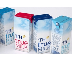 Lắp Đặt Kho Lạnh Tại Công Ty Sữa TH